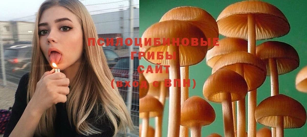 прущая мука Нефтегорск